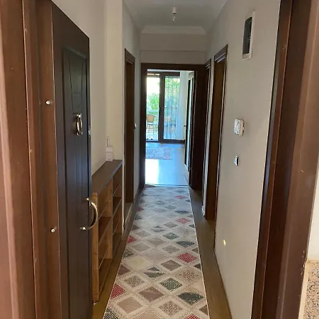 Hg 1 דירה